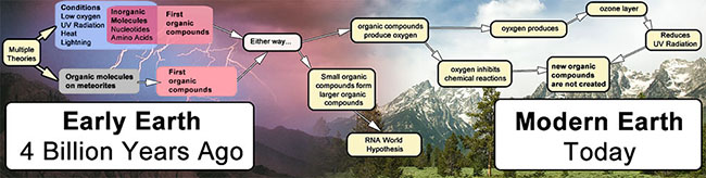 Course flowchart: Early Earth (low oxygen, UV, lightning, heat) vs Modern Earth (oxygen + ozone).