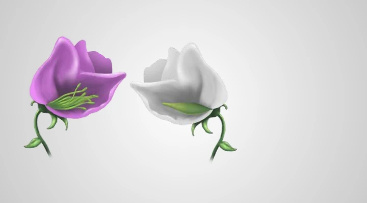 Course flower illustration used to explain controlled cross-pollination.